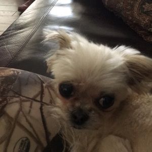 Meet your Posher, Jackie